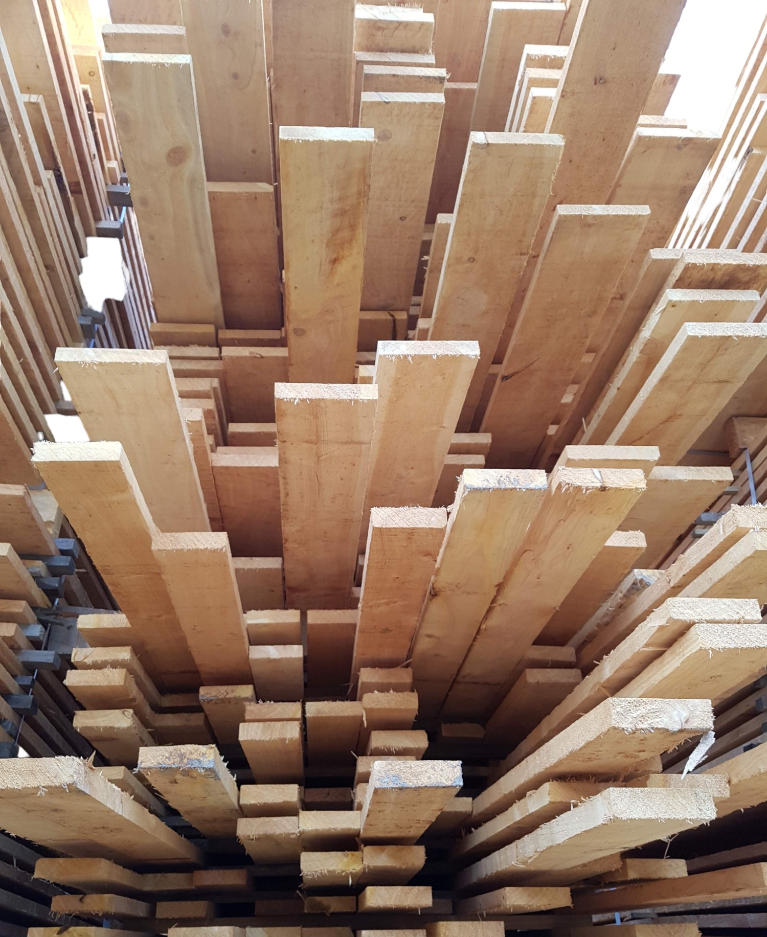 Macrocarpa Sawn and Dressed Timber