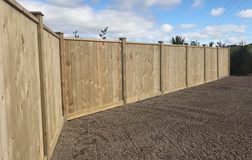 Macrocarpa Beams