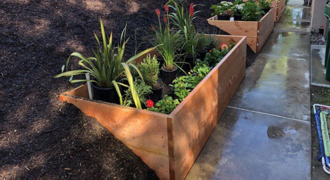 Macrocarpa Sleepers