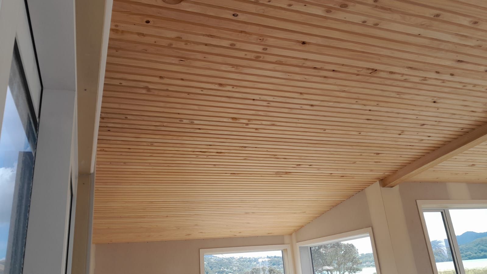 Macrocarpa Beams